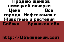 Продаю щенков немецкой овчарки › Цена ­ 5000-6000 - Все города, Нефтекамск г. Животные и растения » Собаки   . Брянская обл.